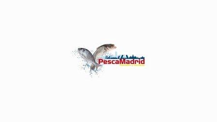 Pescamadrid 2019 SL