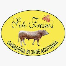 GANADERIA SOTO FRESNOS