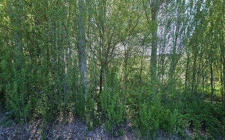 Yelo, Soria Camping