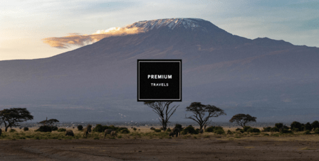 PREMIUM TRAVELS