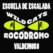 Wild Cats Rocódromo
