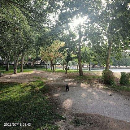 Parque Dolores Ibarruri