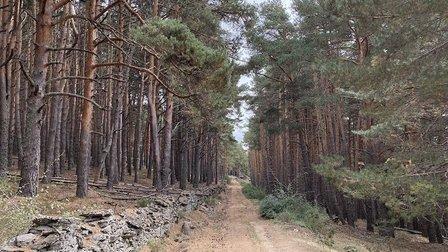 Arroyo de la Trocha