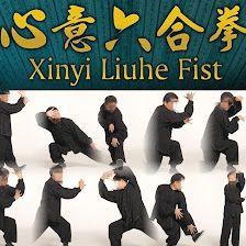 XINYI LIUHE KUNGFU MADRID