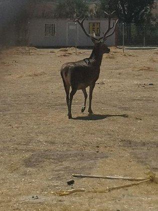 Zoo Kiko