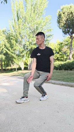 XINYI LIUHE KUNGFU MADRID