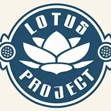 Lotus Project Espacio Arte