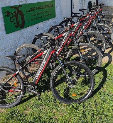 Ebike rental Madrid