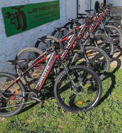 Ebike rental Madrid
