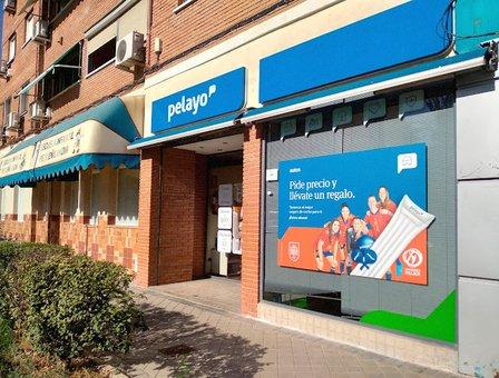 Pelayo Insurance Office