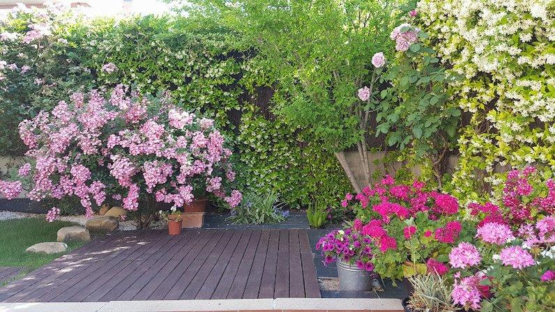 Roper Jardinería Y Paisajismo