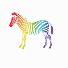 Online Zebra