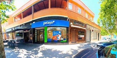 Oficina Seguros Pelayo