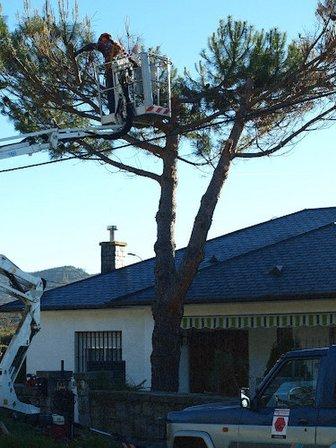 Jardinería Lorente