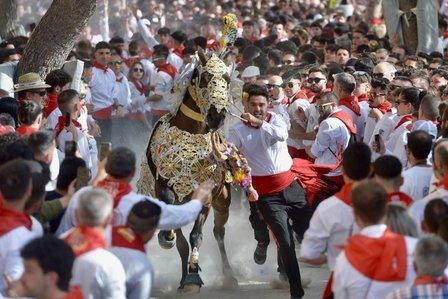 Los Caballos del Vino