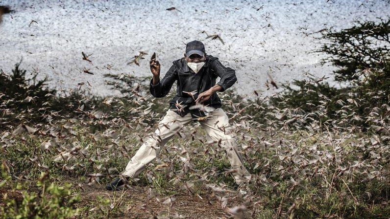 World Press Photo (Vitoria-Gasteiz)