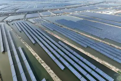 Renewables Supply Record 56.8% of Electricity in 2024